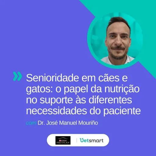 Senioridade em cães e gatos: o papel da nutrição no suporte às diferentes necessidades do paciente
