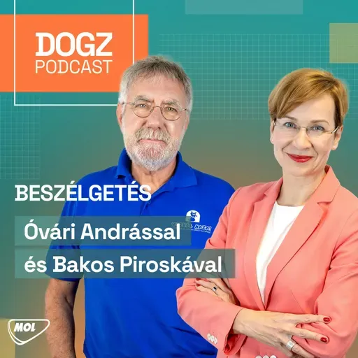 Példaértékű országos hálózat segít hazatalálni a kutyáknak