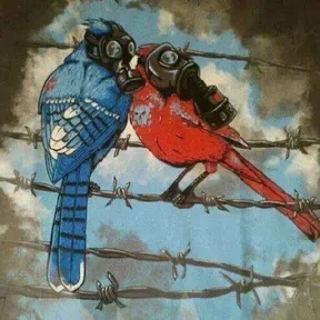REALIDAD AMBIENTAL