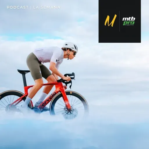 Cervélo S5, Canyon Grizl y Endurace ON:Fly, Van Rysel EDR CF Ultra... ¡y mucho más!