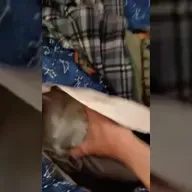 UZI PLUSHIE ACQUIRED!!!