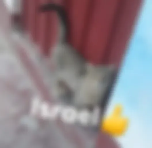 Reseña sexo la pelicula