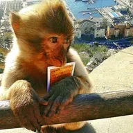 Likutey Moharan - Parte 1 - Torá 10