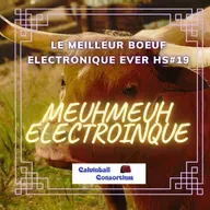 Le Meilleur Boeuf Electronique Ever HS#19 - MEUHMEUH ELECTRONIQUE