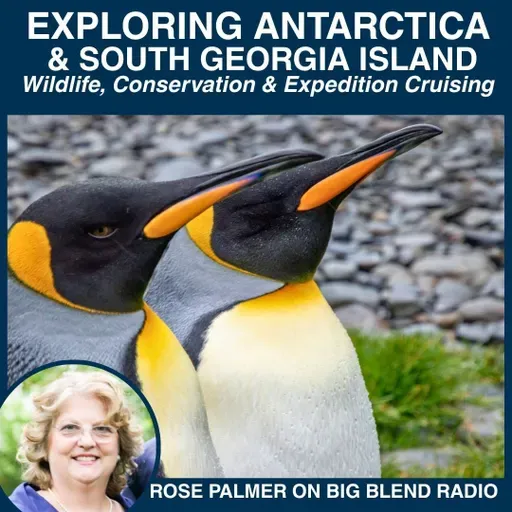 Exploring Antarctica & South Georgia Island: Wildlife, Conservation & Expedition Cruising