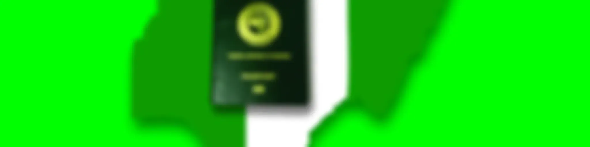 Borderless Naija