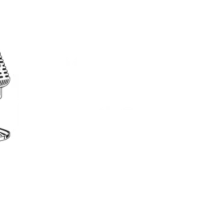 The Entertainers