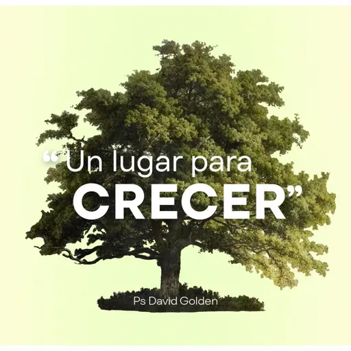 Un lugar para crecer en la Comunión 