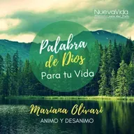 Animo y desanimo