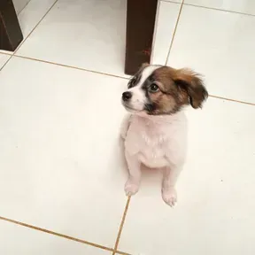 JotaaaFM