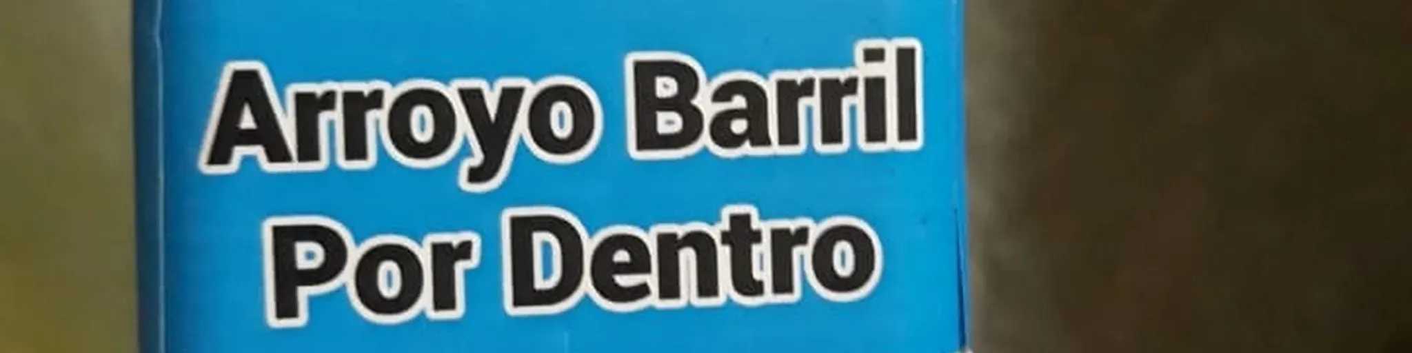 arroyo barril por dentro