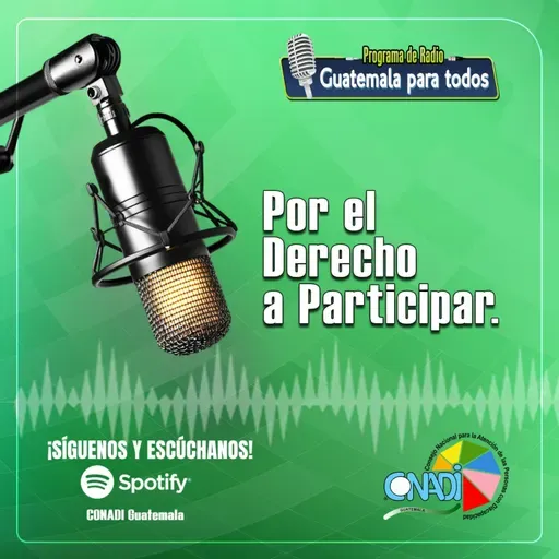 Por el Derecho a Participar