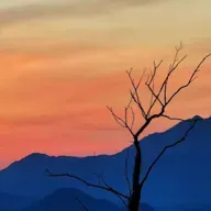 李云风：为了生活