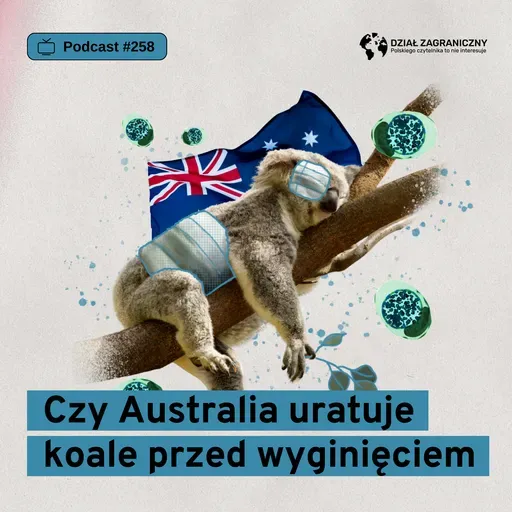 Czy Australia uratuje koale przed wyginięciem (Dział Zagraniczny Podcast#258)