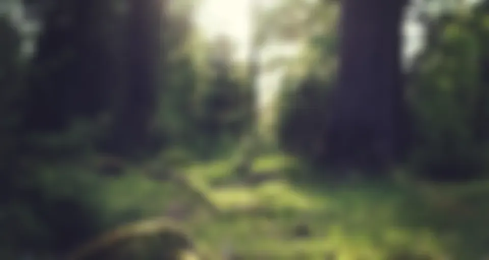 UNETE A ESTA COMUNIDAD Y TU VIDA CAMBIARÁ