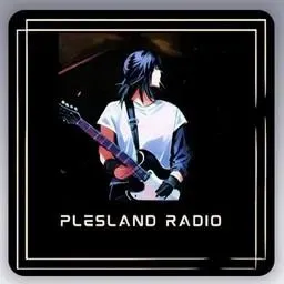 Plesland Radio