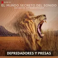 El Mundo Secreto del Sonido - Depredadores y Presas