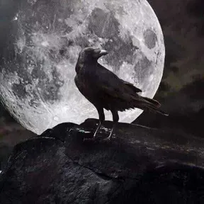 Ravenz Radio