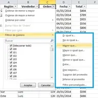 Los filtros en Excel, Elementos.