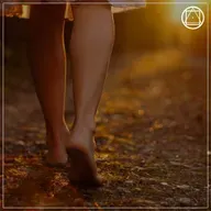 #87 Quem somos nós? Quem é o peregrino que busca a verdade?