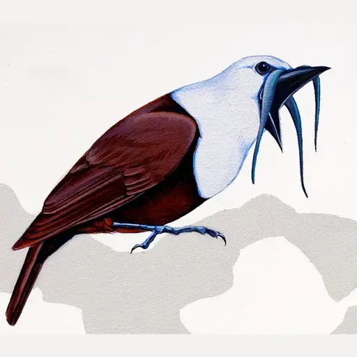 Painting Birdsong with Jane Kim