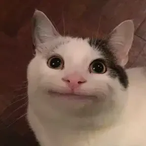Viviivivivivivi