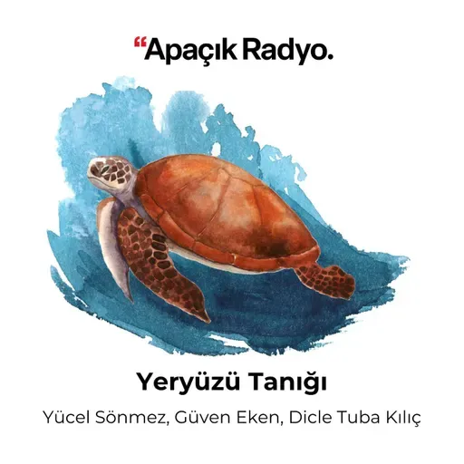 Türkiye suyunu nasıl boşa harcıyor?