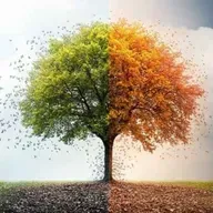 ترس از تغییر | ۱۲ دقیقه مدیتیشن