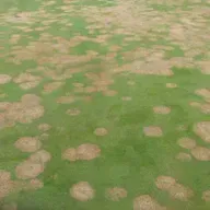 #132: LIV-amnesti, Reitan-start og gress-forsker som roer nervene våre