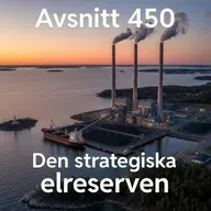 450. Den strategiska elreserven