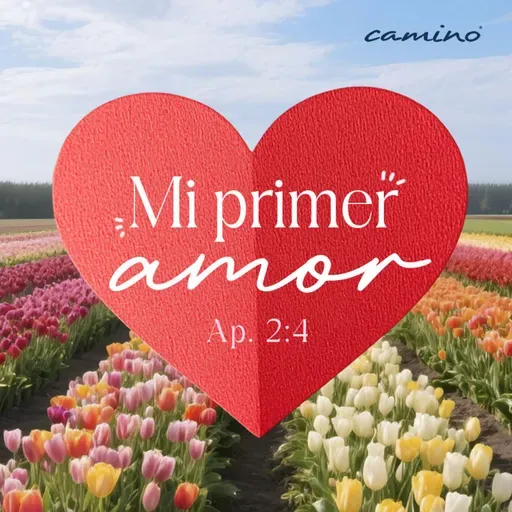 Oración 13 de febrero (Mi primer amor)
