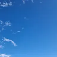 MB# 95 - Outfits para desporto, marcas em festivais, irradicar gaivotas