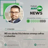 Exportações de bovinos vivos superam 111 mil cabeças em maio