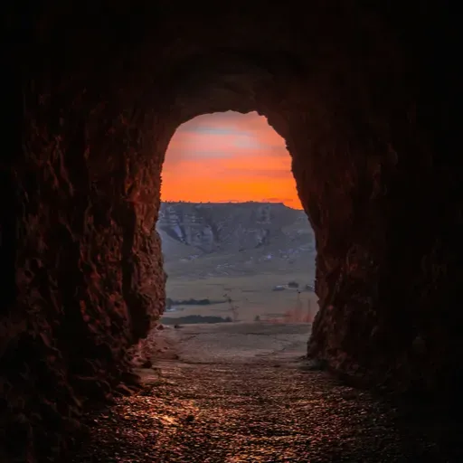 An Egg, a Parrot and My Biggest Business Failure Ever