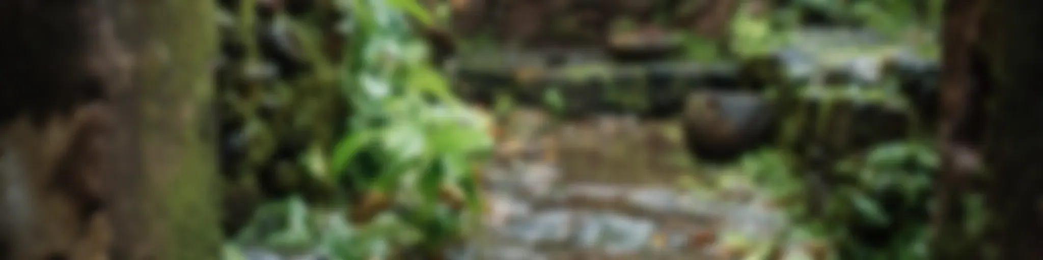 45 Vassas - Unpacking Theravada Buddhism Teachings