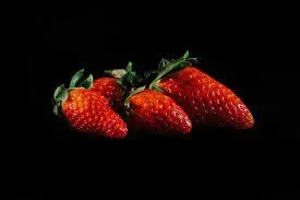 Cour de justice des Communautés européennes – Arrêt Commission c/ France (1997)