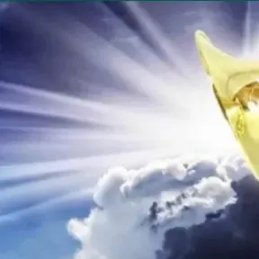 O GRITO DA MEIA NOITE