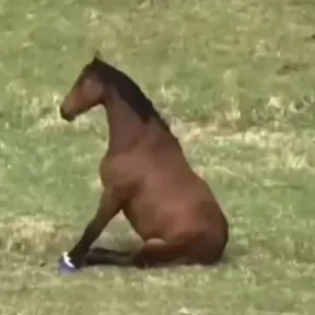ViejitasPeroBonitas