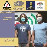 Sansofé, 2021-04-15