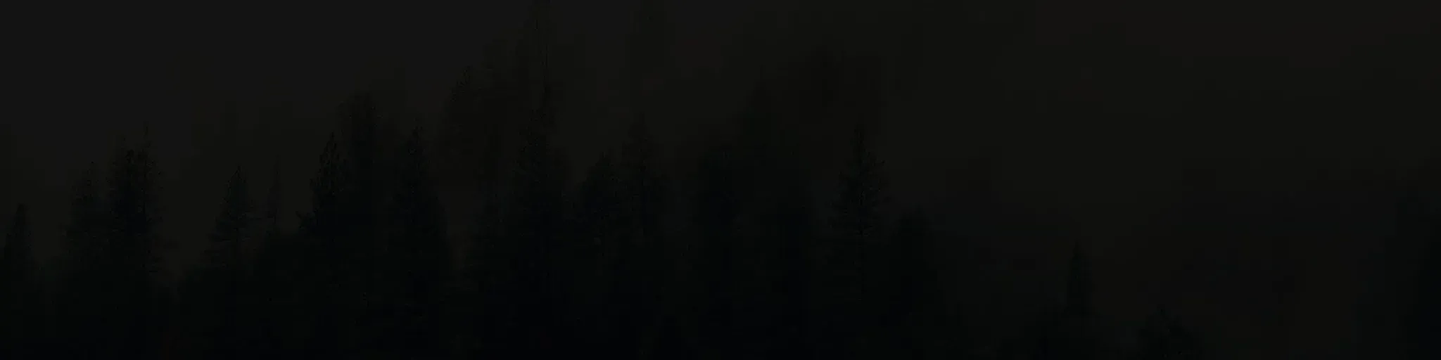 tizen fm