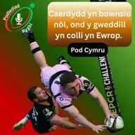 Caerdydd yn bownsio nôl, ond y gweddill yn colli yn Ewrop.