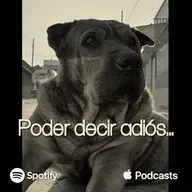 Poder decir adiós...