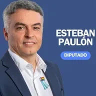 "Este nuevo salvataje es una expresión del fracaso del modelo de Milei" dice el diputado Esteban Paulón