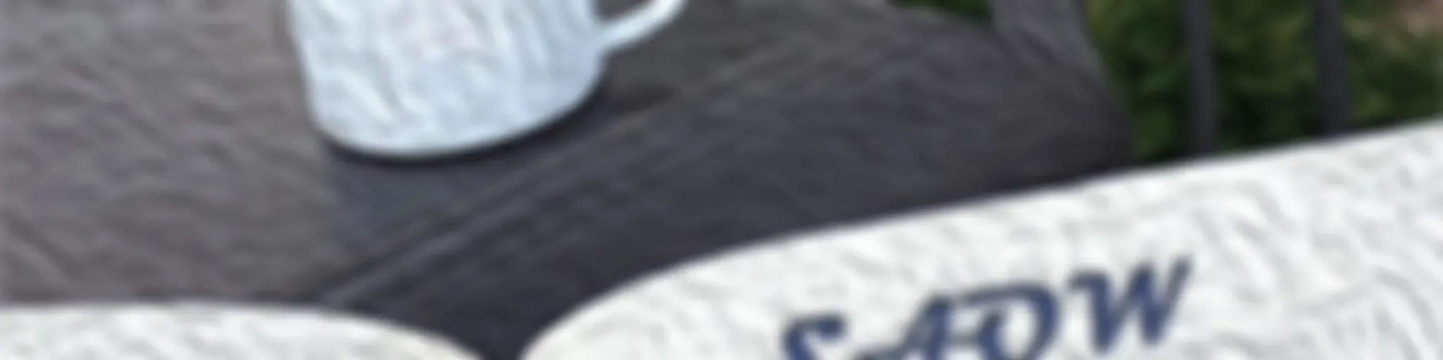 SAOW Book Sounds Book Reviews