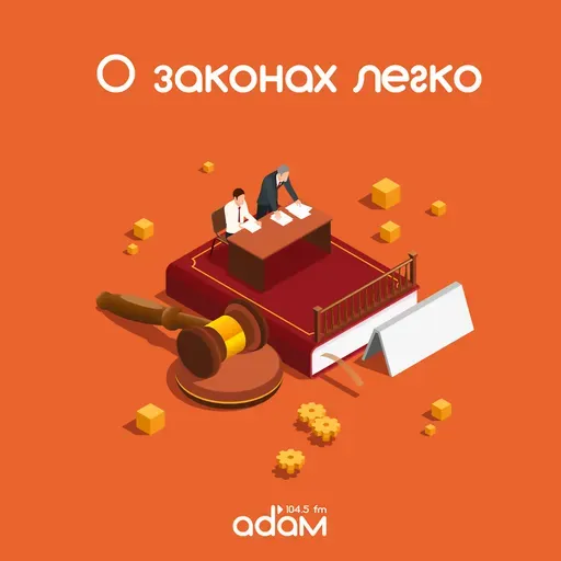О законах легко. Всё про АЛИМЕНТЫ! 28/05/25