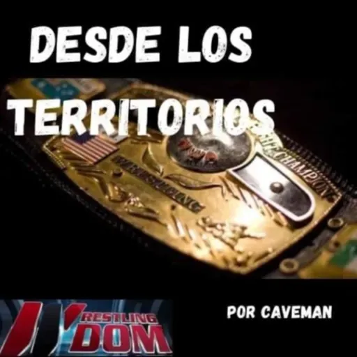 Desde Los Territorios Ep#214- Cuantos titulos Mundiales tuvo Ric Flair?