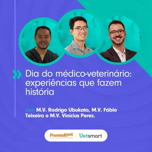 Dia do médico-veterinário: experiências que fazem história
