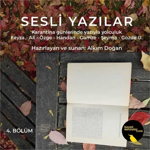 Sesli Yazılar IV