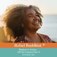 Wisdom In Action -  Off the Cushion Part 3