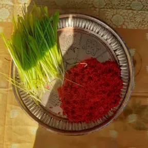 Binaya333